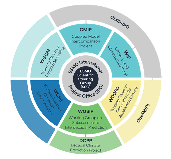 Schematic outlining the ESMO Structure, with working groups, panels and projects